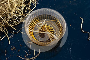 Shrabat of Khus or vetiver grass.