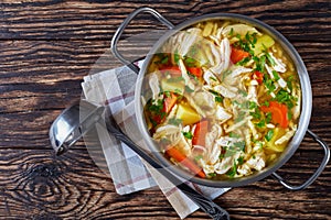 Shredded Chicken and vegetable hearty soup