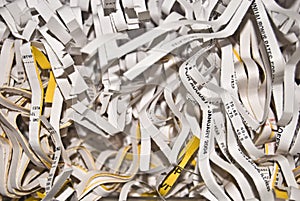 Shredded Documents