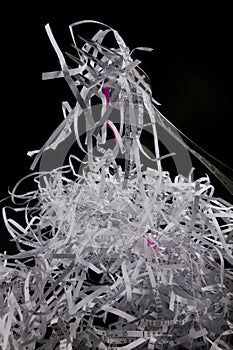 Shredded documents and fork