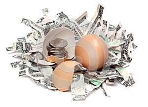 Shredded dollars and eggshell with coins