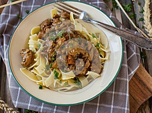 Shredded meat with cream sauce and noodles. Traditonal \