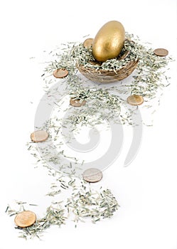 Shredded Money Trail to Nest