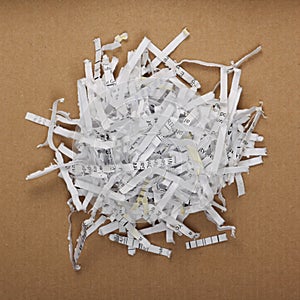 Shredded Paper on Cardboard