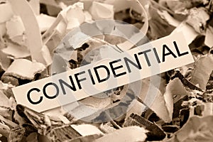 Shredded paper confidential