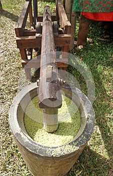 Shredded rice grain in large wooden mortar