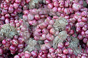 Shredded shallots, after picking up the produce from the shallot garden, then dried to bring the food. It is popular with Asians a