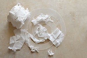 Shredded toilet paper roll on the floor. How to stop cat shredding toilet paper concept.