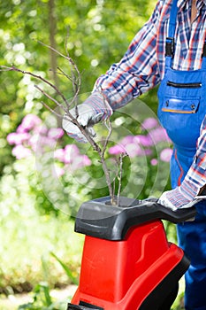 Shredding branches with an electric garden shredder