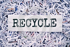 Shredding, paper and trash bin in studio for recycling or office disposal of confidential waste or documents. Letter or