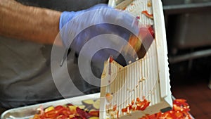 Shredding Red Bell Pepper in Restaurant Kitchen, Making Healthy Salad Meal