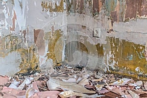 Shreds of torn paper wallpaper lie on the floor against the background of the corner of shabby walls in the room