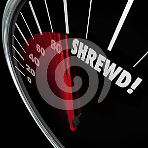 Shrewd Speedometer Business Savvy Knowledge Experience Cunning photo
