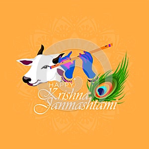 Shri Krishna Janmashtami means Birthday of Lord Krishna. Musical instrument bansuri and peacock feather. Holy cow