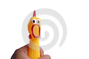 Shrilling Chicken squeaky toy in hand on white background.