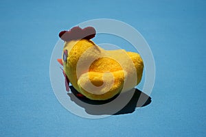 Shrilling Chicken squeaky toy . toy rubber shriek yellow chicken isolated on blue background. photo