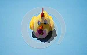 Shrilling Chicken squeaky toy . toy rubber shriek yellow chicken isolated on blue background. photo
