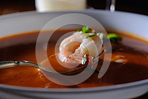 Shrimp Bisque Soup