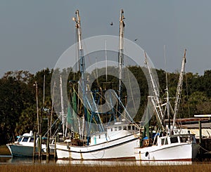 Shrimp Boat Fleet