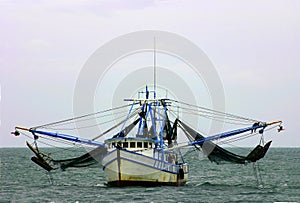 Una musarana un barco redes 