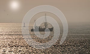 Shrimp Boat,North Sea,Germany photo