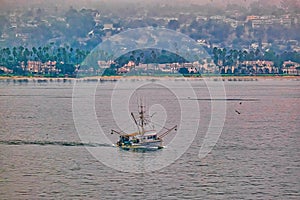 Shrimp Boat off California Coast