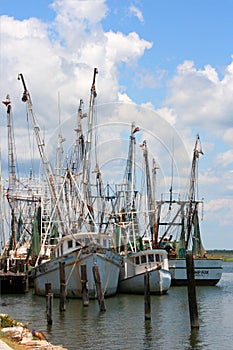 Shrimp Boats 1