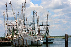 Shrimp Boats 2 photo