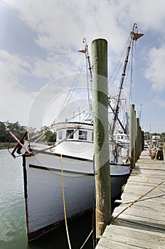 Shrimp Boats