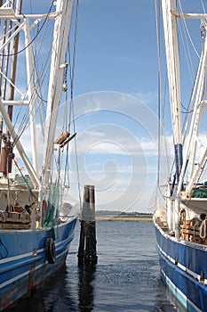 Shrimp Boats
