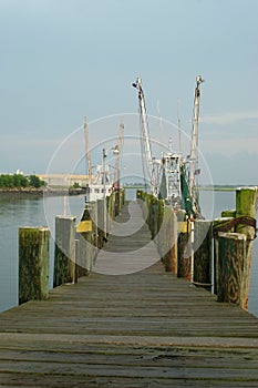 Shrimp boats docked