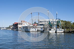 Shrimp boats