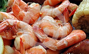 Shrimp Boil