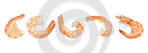 Shrimp of boiled prawn seafood isolated white background. Panorama