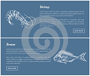 Shrimp and Bream Marine Products Landing Page