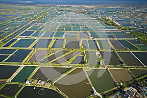 Shrimp breeding farms viewed from the air