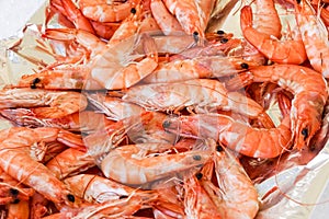 Shrimp cocktail background with a close up view of a group of fresh delicious refrigerated crustaceans as gourmet