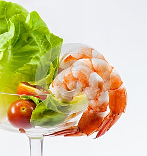 Shrimp Cocktail Isolated on a White .