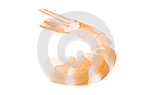 Shrimp cooked, headless, prawn peeled isolated on white background with clipping path, element of packaging design