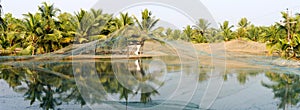 Shrimp farm on the backwaters of Kollam photo