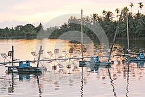 Shrimp farm with paddle wheel aerator