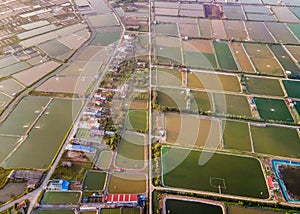 Shrimp farms in Giao Thuy district, Namdinh,