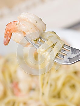 Shrimp Fettuccine