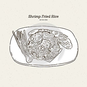 Shrimp fired rice, hand draw sketch vector