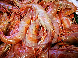 Shrimp in fish market