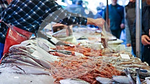 Shrimp and Fish at a Seafood Market in Italy