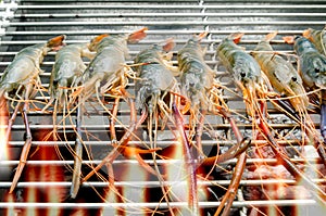 Shrimp grill