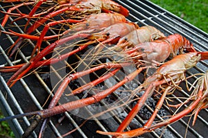 Shrimp grill