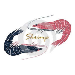 Shrimp hand drawn logo isolated on white background. Vector illustration for print, fish market label, infographics, food