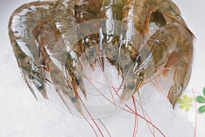 Shrimp has a high nutritional value
